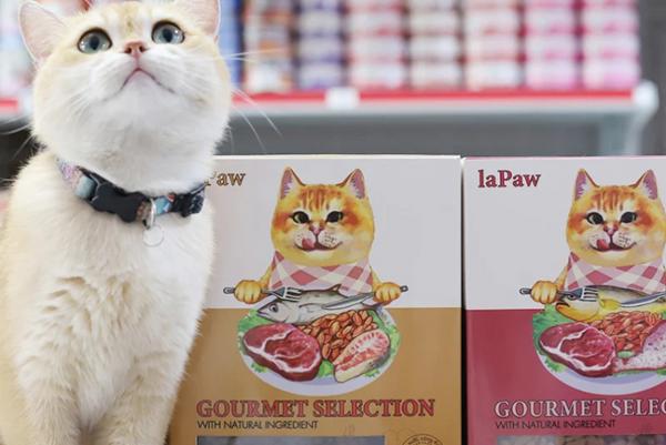 Cute cat sitting next to Lapaw Gourmet Selection cat food boxes – natural ingredients and gourmet nutrition for cats