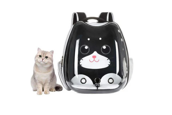 Black transparent cat backpack with cartoon face next to a sitting beige cat.