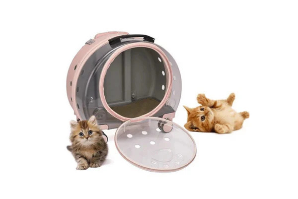 Top Trending Transparent Cat Backpacks in 2025
