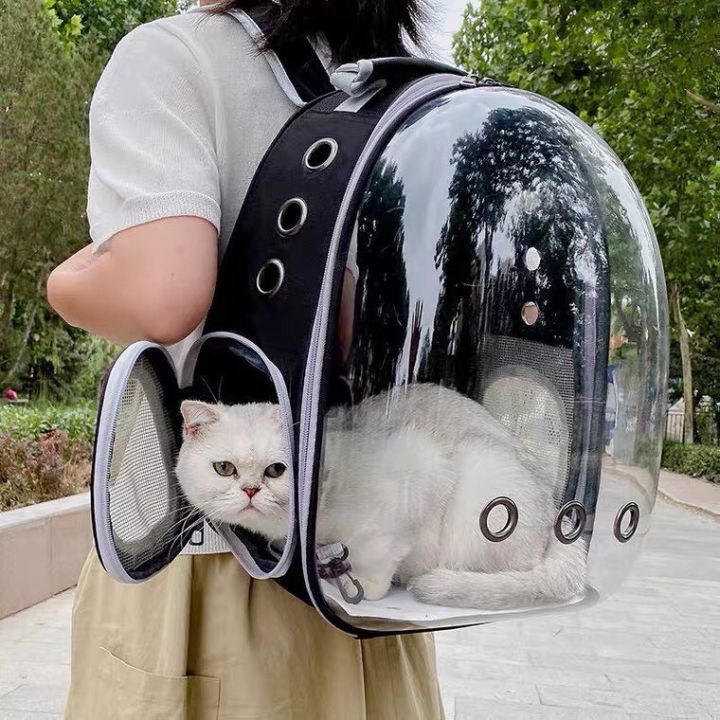 Woman carrying a white cat in a modern transparent cat backpack with side ventilation mesh and clear dome for visibility and airflow.